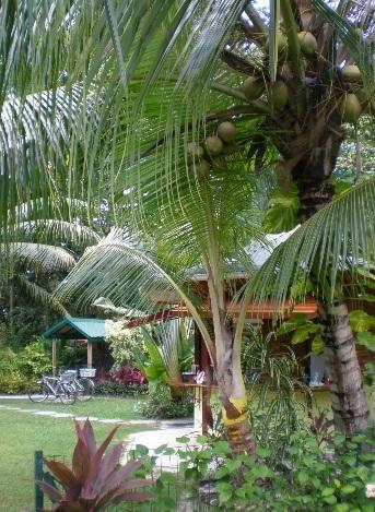 Diguoise Guest House La Digue Exterior foto